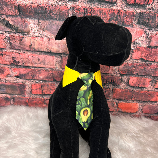NEW Avocado Shirt Collar and Tie Small- 4 pack