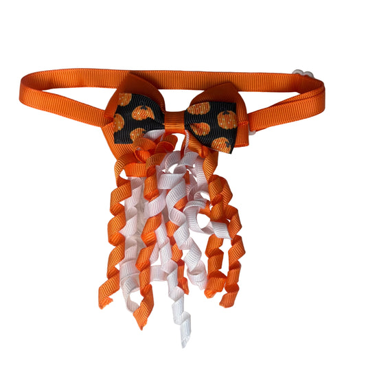 twisted pumpkin 6 pc