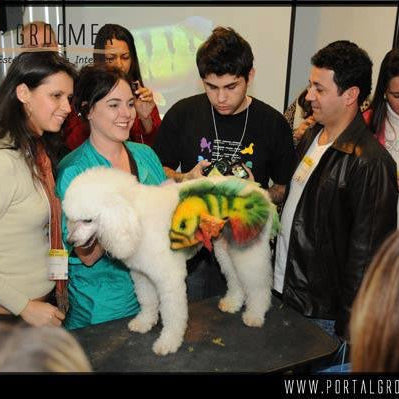 SALON CREATIVE RETREAT- AUGUST 7-10 2026