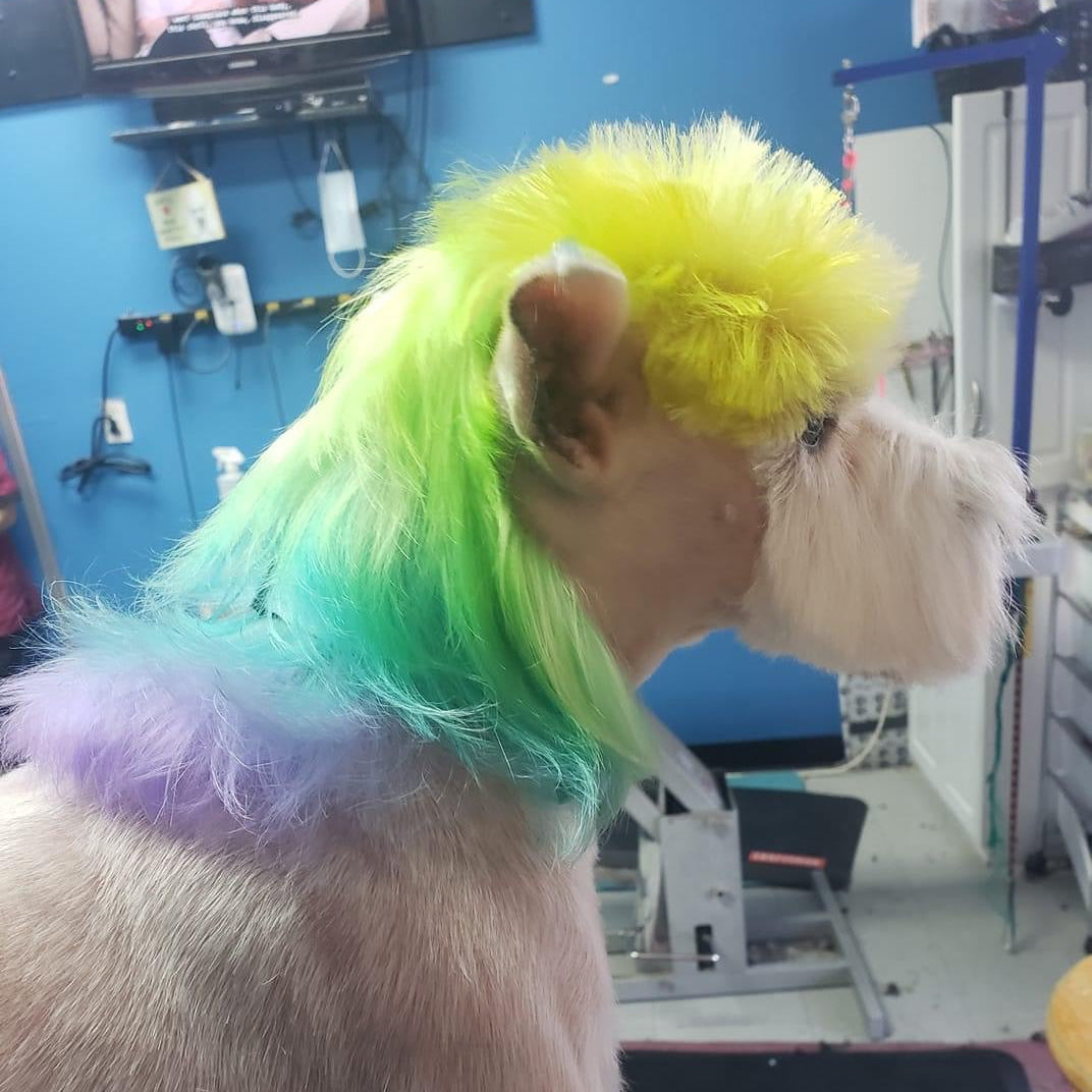 SALON CREATIVE RETREAT- AUGUST 7-10 2026