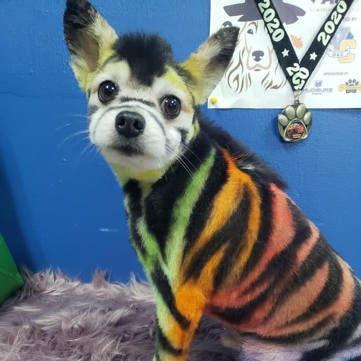 SALON CREATIVE RETREAT- AUGUST 7-10 2026