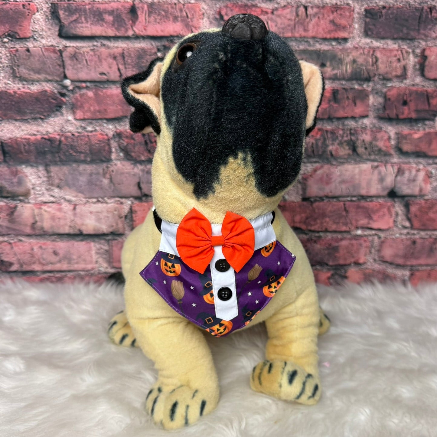 NEW "Woof-O-Lantern"  bib - 4 pack