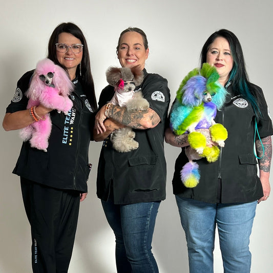 SALON CREATIVE RETREAT- AUGUST 7-10 2026