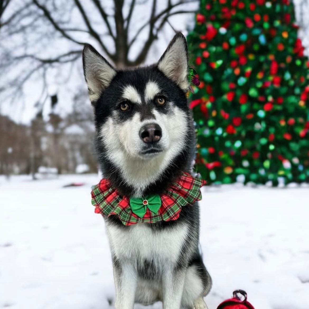 CHRISTMAS PLAID TIE ON RUFFLE M/L 5 pack