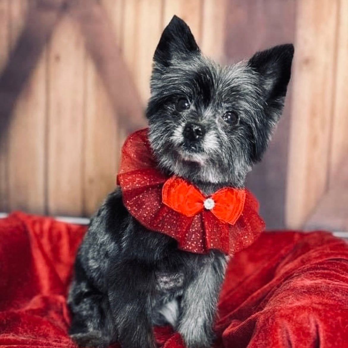 RED SPARKLE RUFFLE 4 PACK