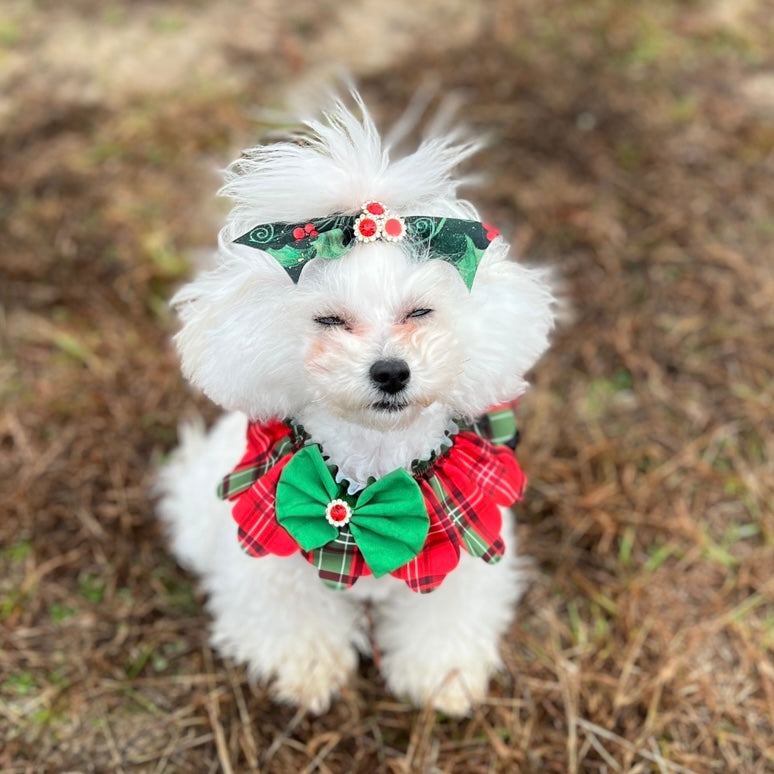 CHRISTMAS PLAID TIE ON RUFFLE XS/SM 5pack