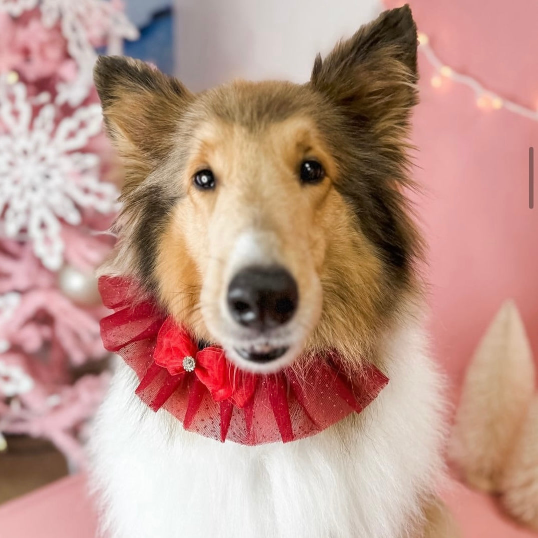 RED SPARKLE RUFFLE 4 PACK