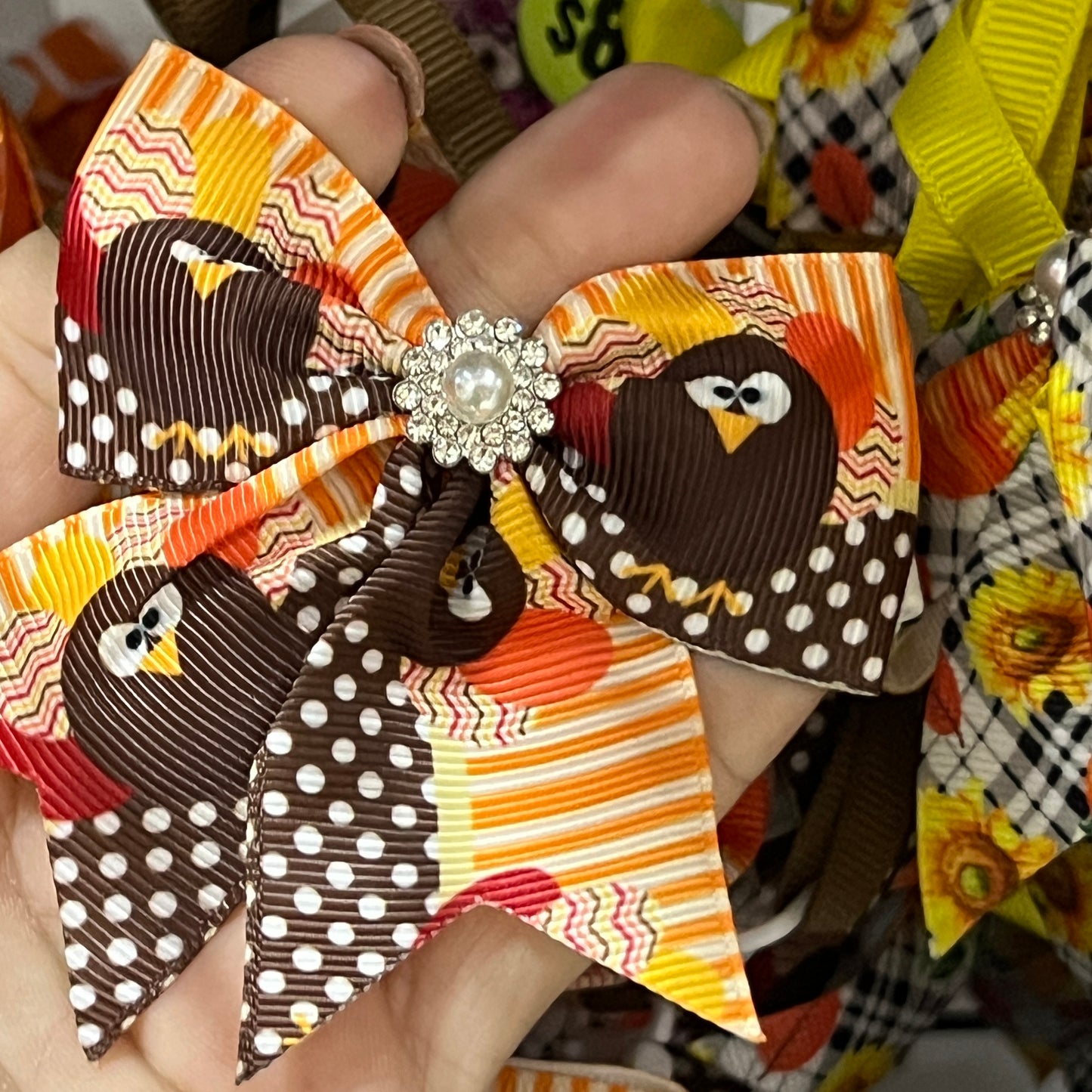 LIVE CUTE TURKEY 6 PACK