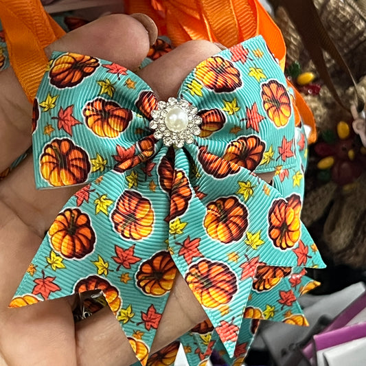 LIVE TEAL PUMPKINS 6 PK