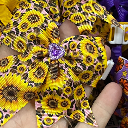 LIVE PINK SUNFLOWER 6 PACK