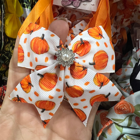 LIVE WHITE PUMPKIN 6 PK