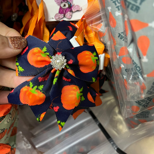 LIVE NAVY PUMPKIN 6 PACK