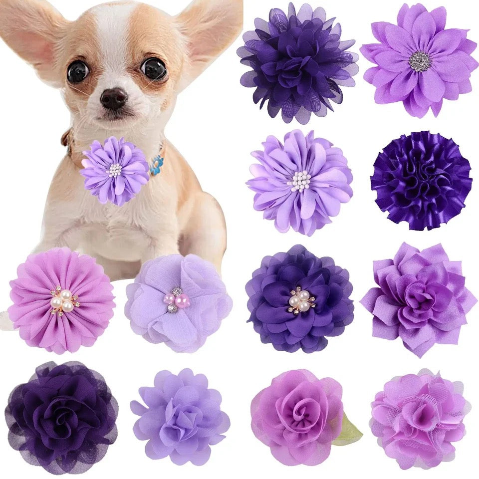 ASSORTED COLLAR FLOWER 12 PACK PURPLE