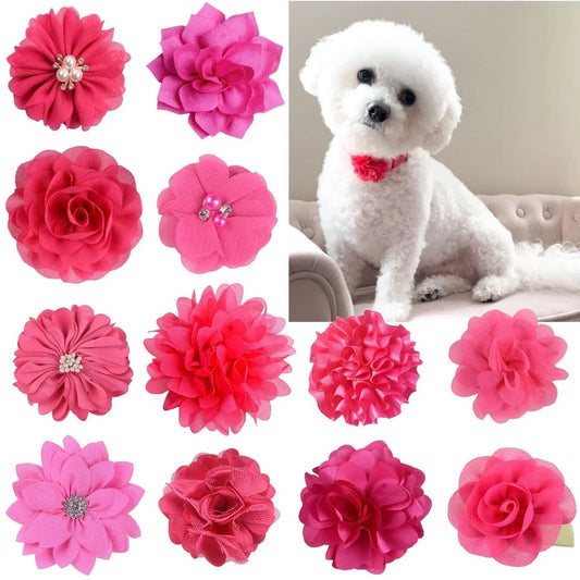 ASSORTED COLLAR FLOWER 12 PACK PINK