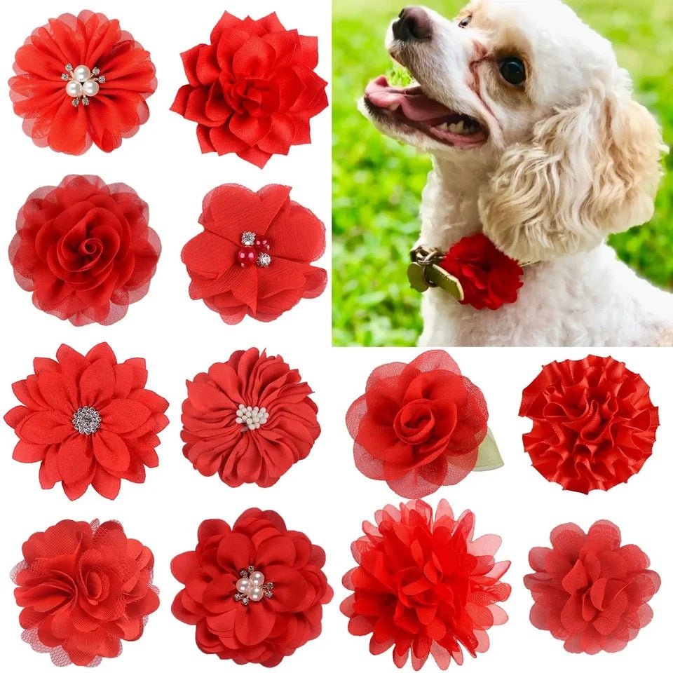 ASSORTED COLLAR FLOWER 12 PACK RED