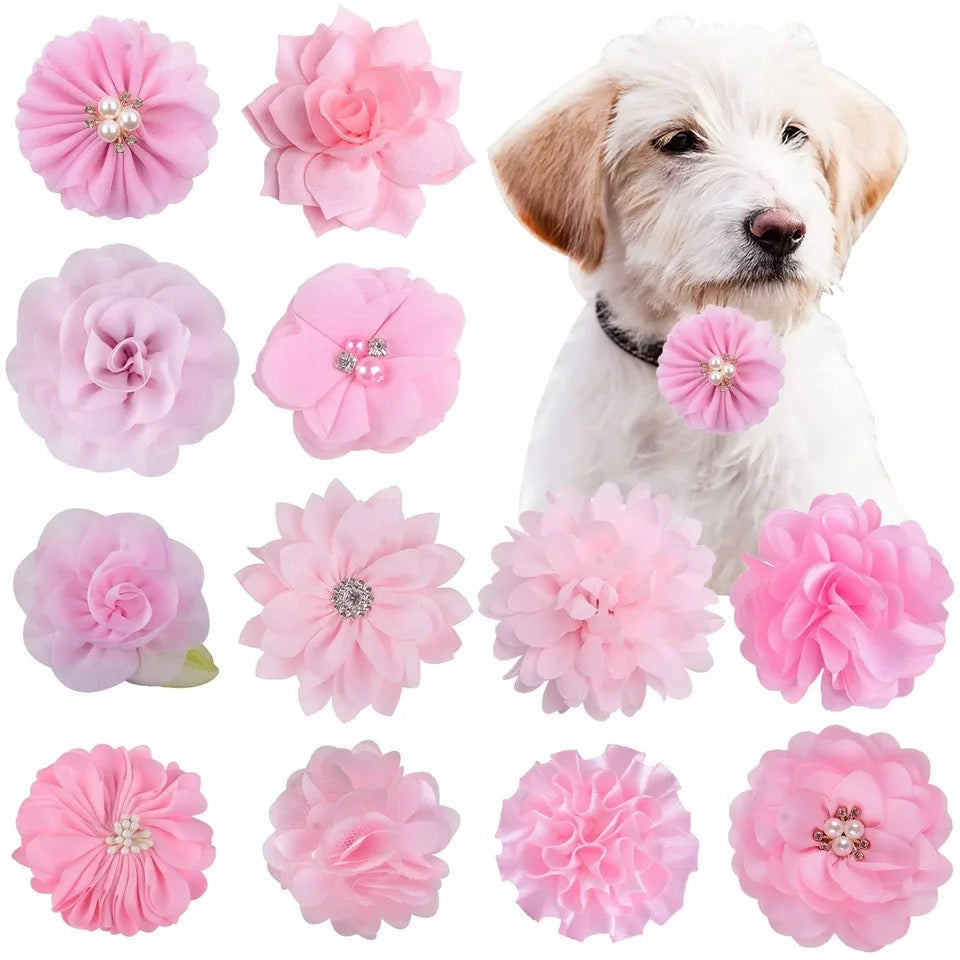 ASSORTED COLLAR FLOWER 12 PACK LIGHT PINK