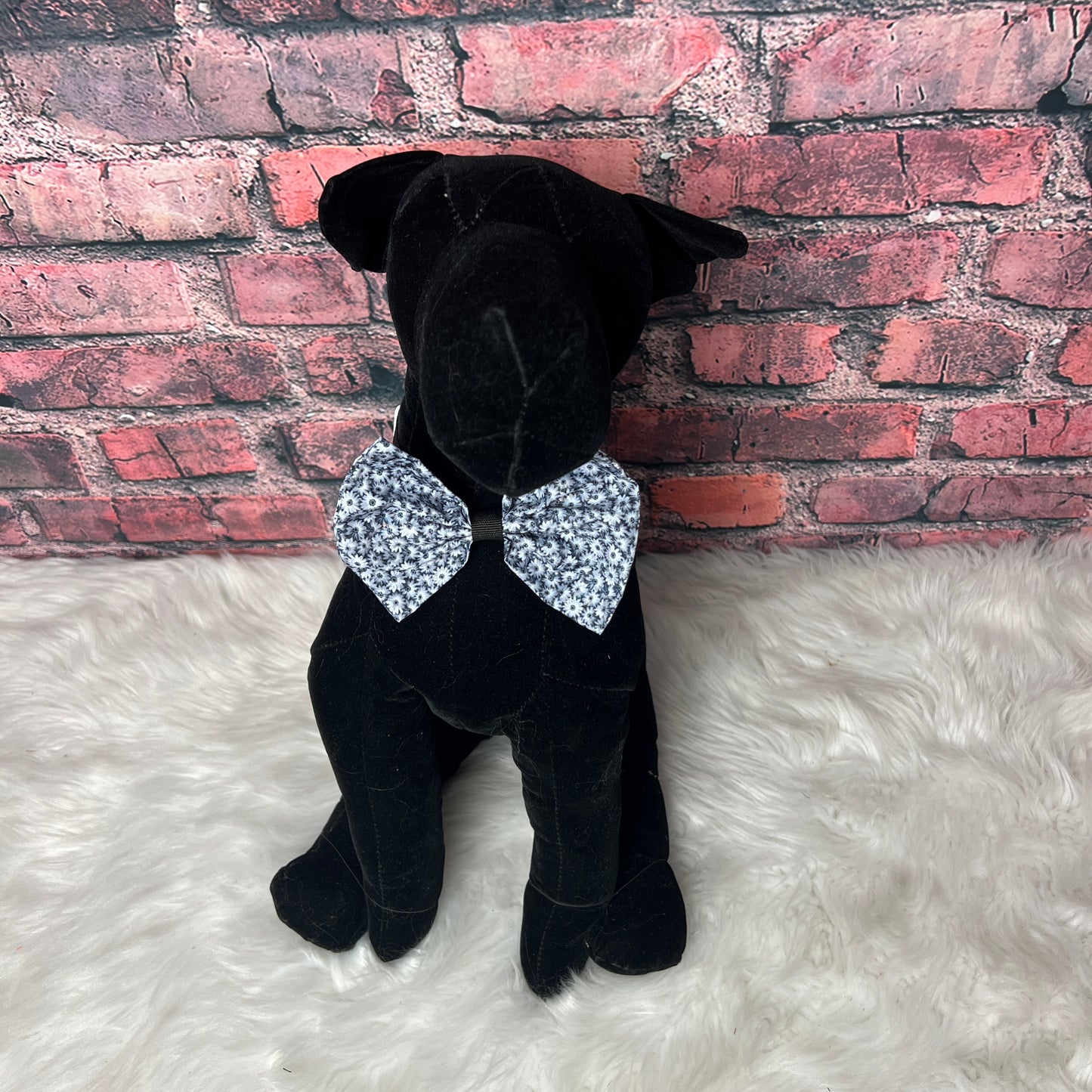 BLACK AND WHITE DAISEY BOW TIE 6 PACK