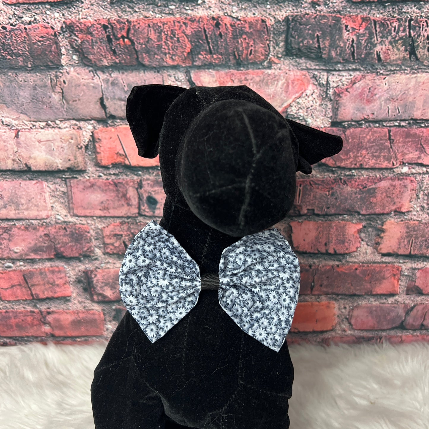 BLACK AND WHITE DAISEY BOW TIE 6 PACK