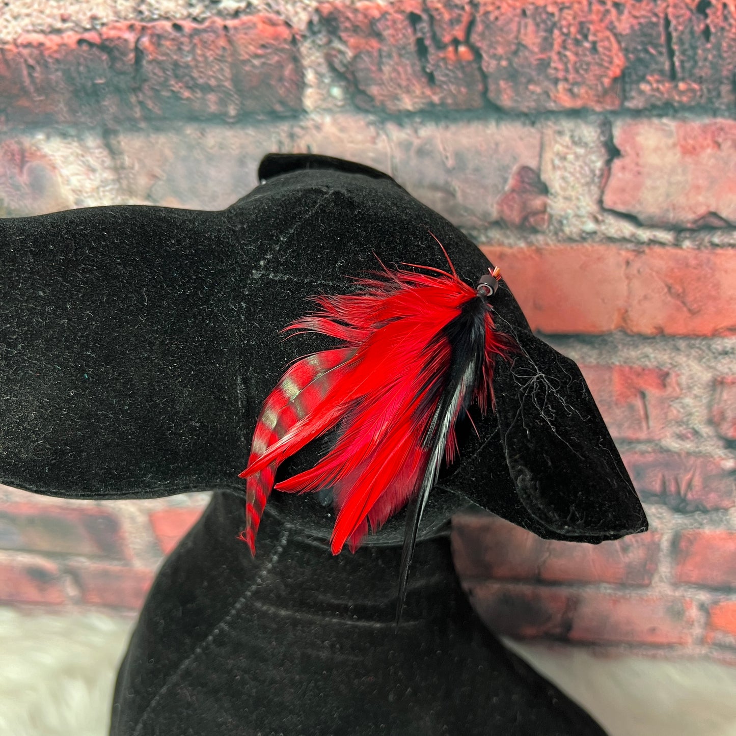 FEATHER EXTENSIONS 10 PACK RED AND BLACK