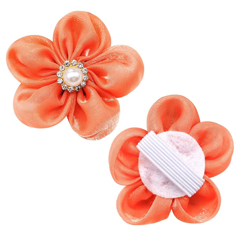 ASSORTED SMALL DAISEY FLOWER COLLAR BOW 12 PACK