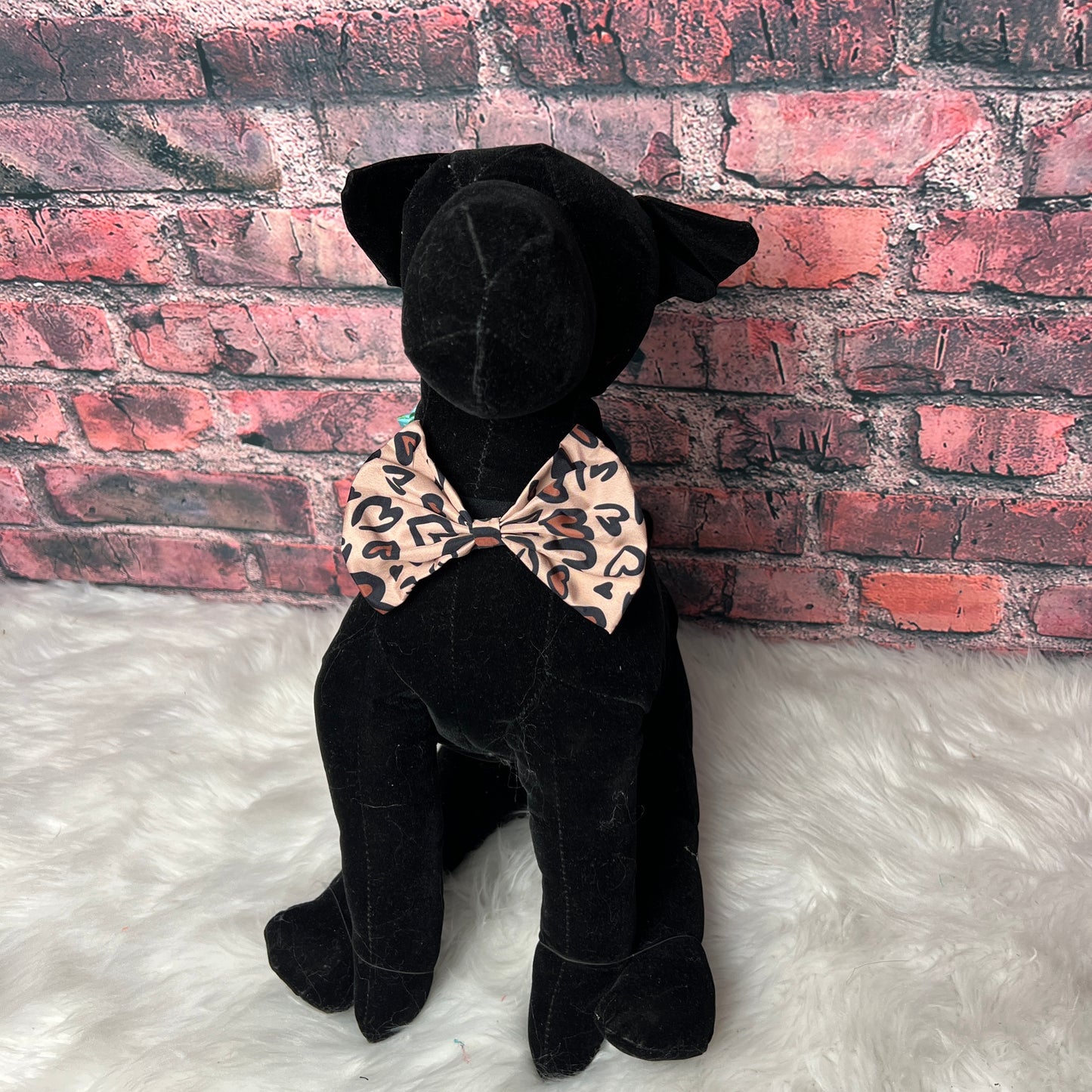 WILD HEARTS collar bowtie 6 pack