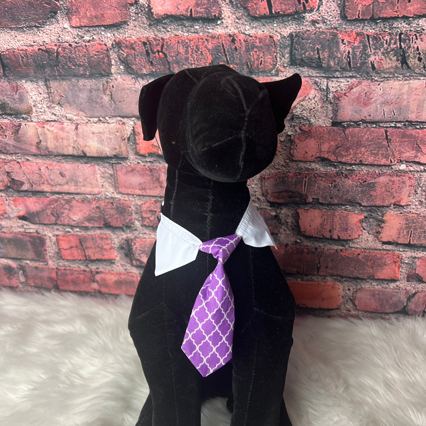 PURPLE LATTUS SHIRT COLLAR W/ TIE