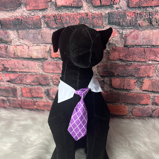 PURPLE LATTUS SHIRT COLLAR W/ TIE