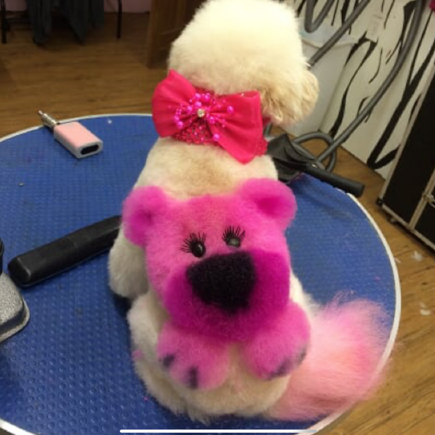 SALON CREATIVE RETREAT- AUGUST 7-10 2026