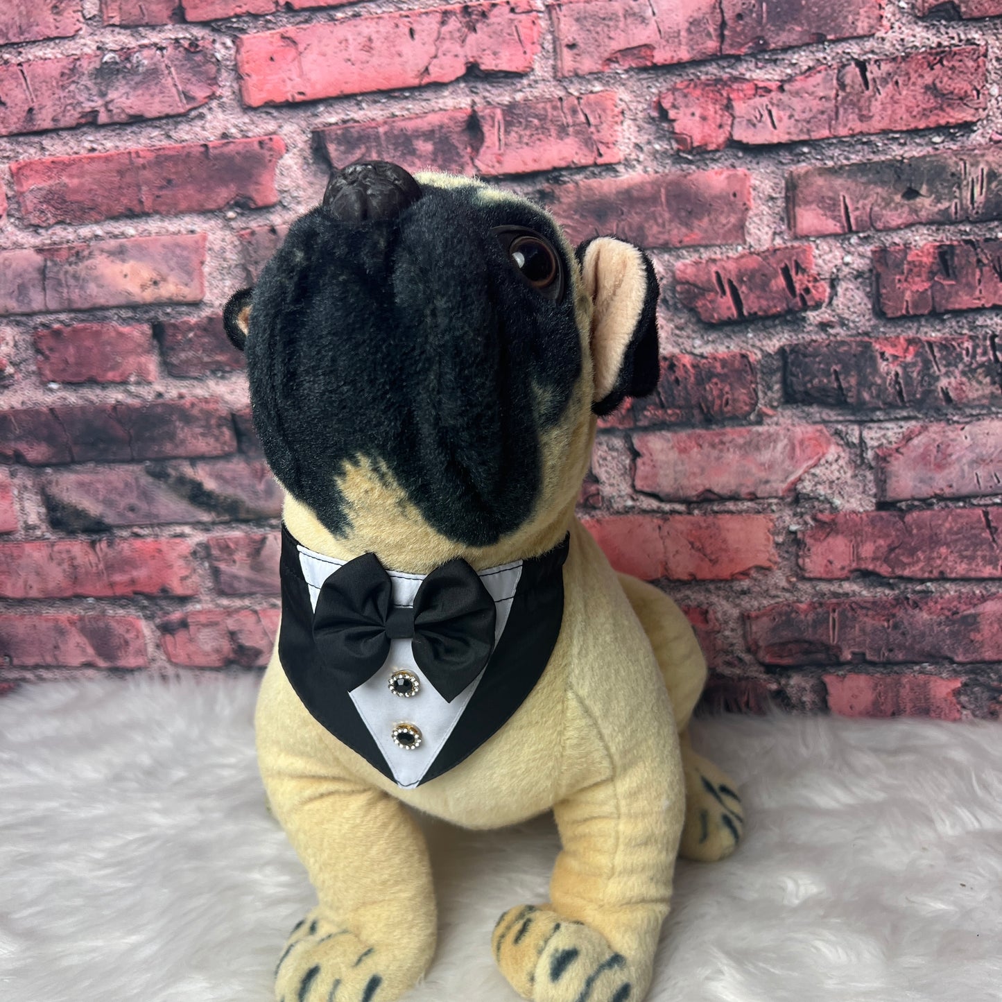 BLACK TUX 4 PACK