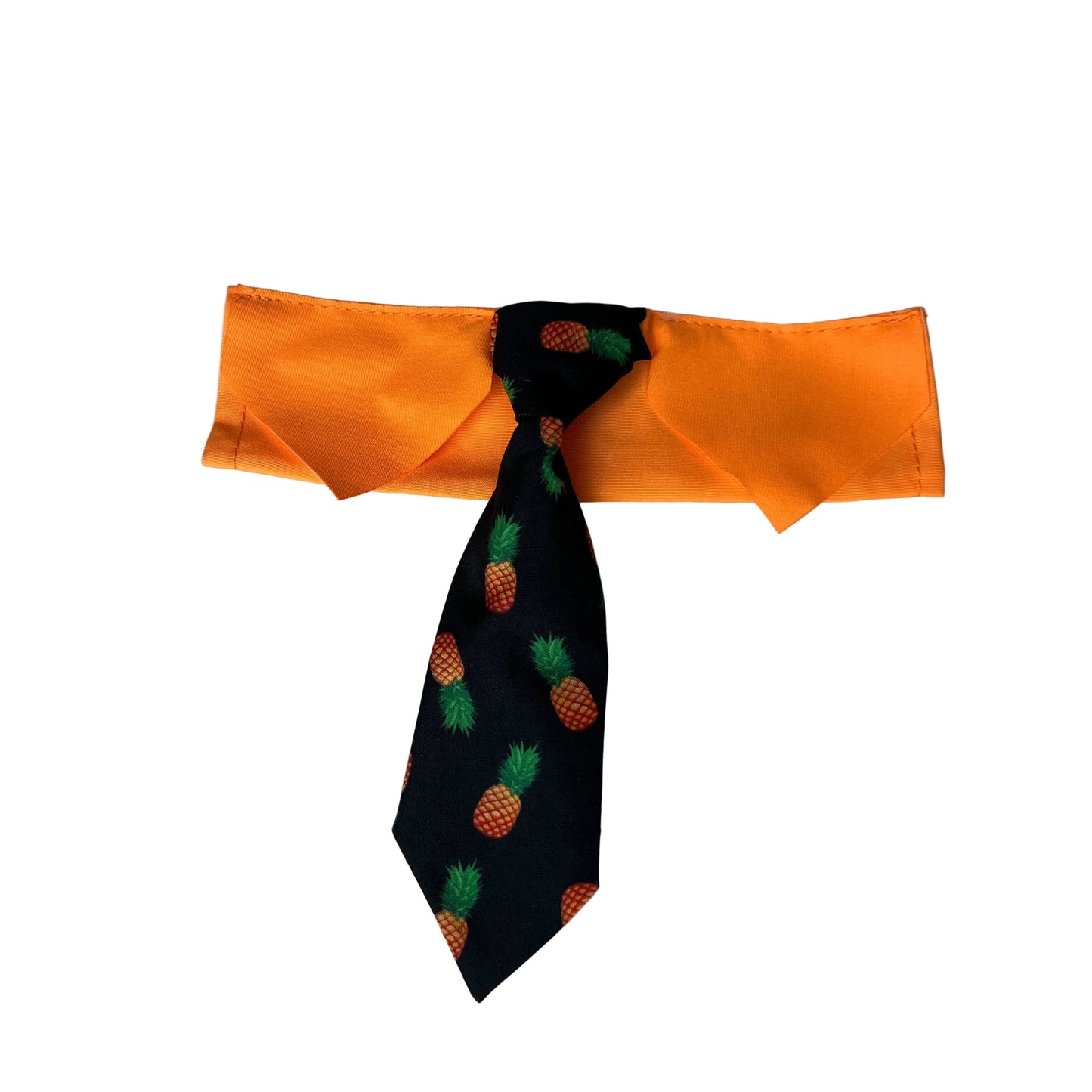 PINAPPLE OTC TIE SMALL 4 PACK