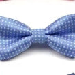 DAPPER BLUE BOWTIE 8 PACK