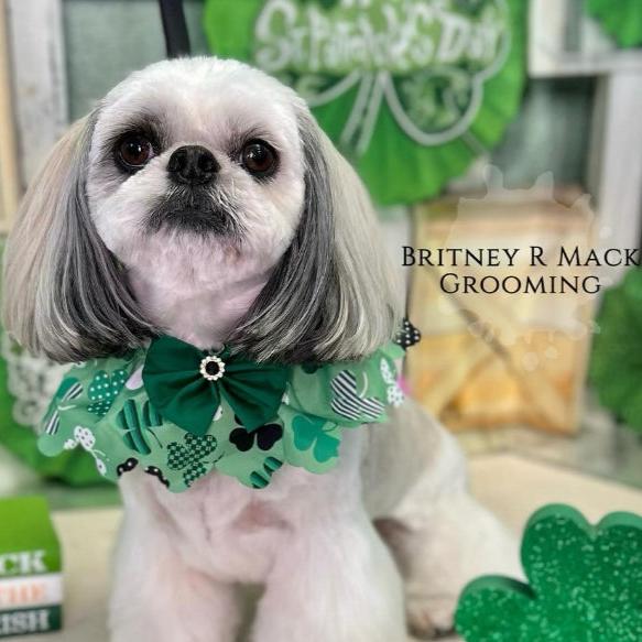 LUCKY DOG RUFFLES- XS/S-  5 PACK