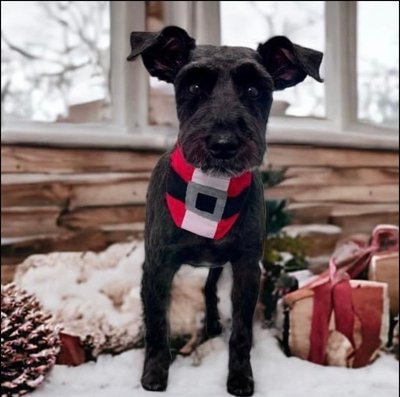 NEW HO HO BIB-4 PACK