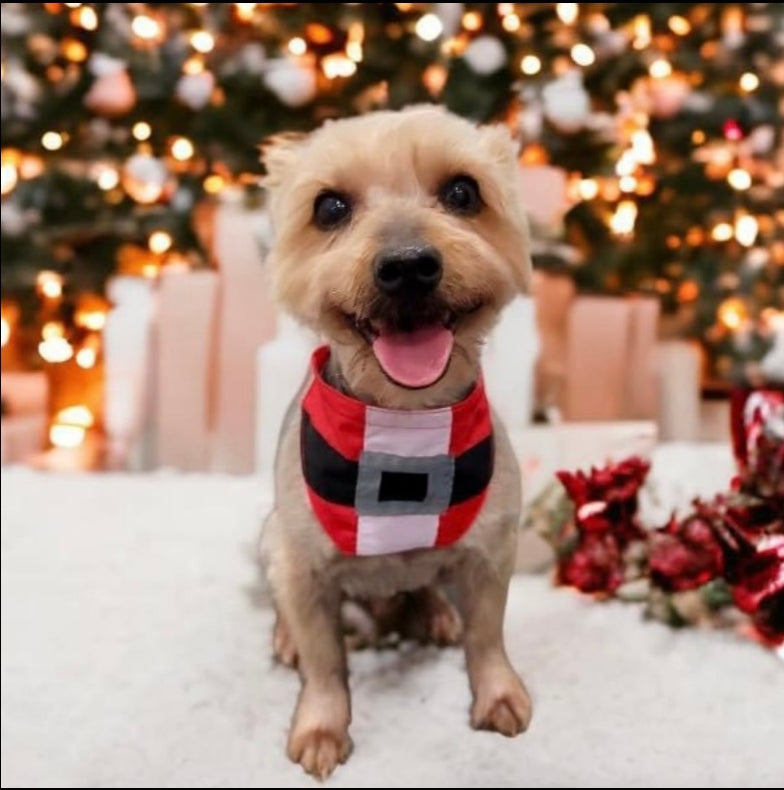 NEW HO HO BIB-4 PACK