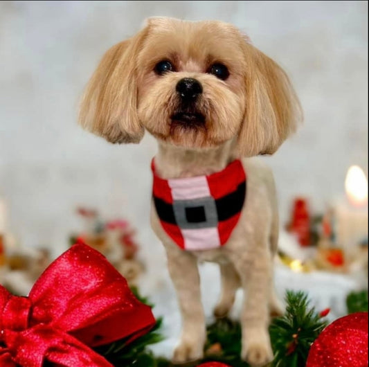 NEW HO HO BIB-4 PACK