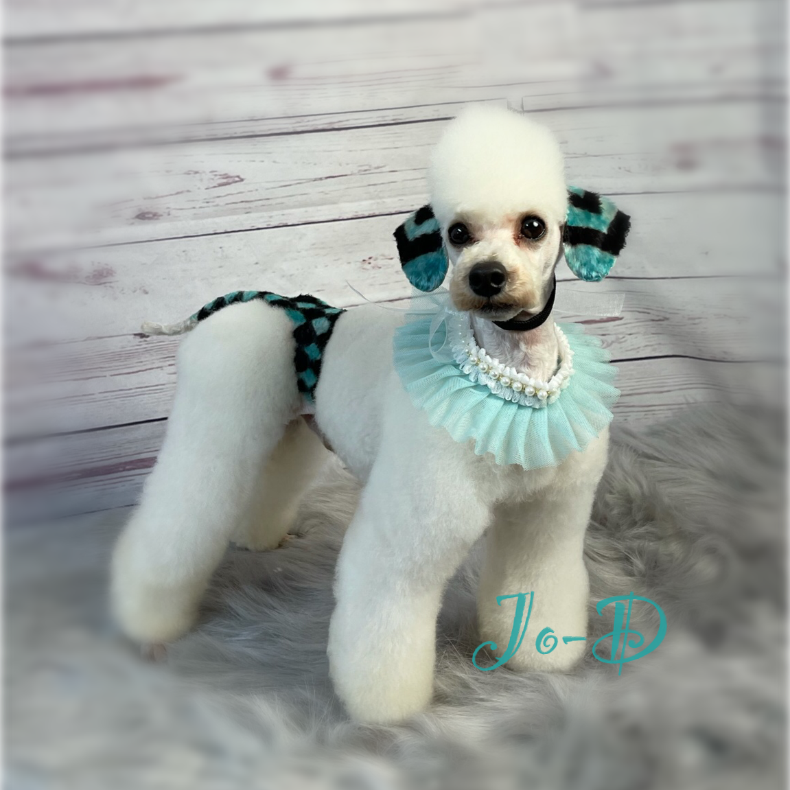 SALON CREATIVE RETREAT- AUGUST 7-10 2026